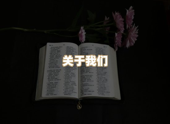 关于黛潮读库